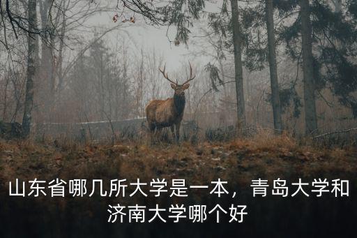 山東省哪幾所大學是一本，青島大學和濟南大學哪個好