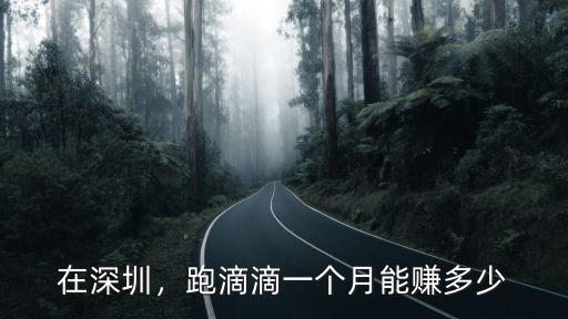深圳滴滴跑車一個月能掙多少,跑滴滴一個月能賺多少
