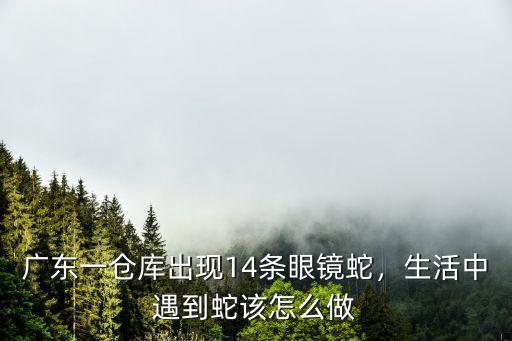 廣東人叫眼鏡蛇怎么叫,廣東一倉庫出現14條眼鏡蛇