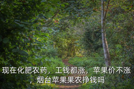 煙臺蘋果產(chǎn)量多少,煙臺蘋果果農(nóng)掙錢嗎