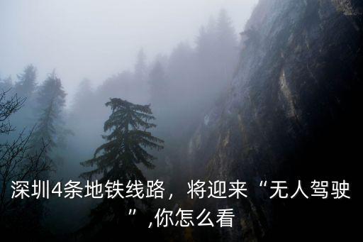 深圳4條地鐵線路，將迎來“無人駕駛”,你怎么看
