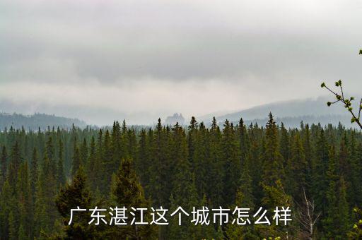 湛江天盈怎么樣,未來湛江發展趨勢怎么樣