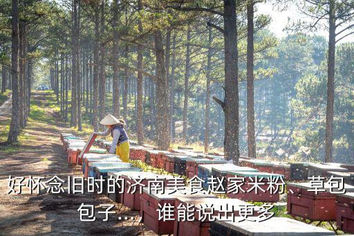 濟(jì)南草包包子多少錢一個(gè),濟(jì)南草包灌湯包怎么做
