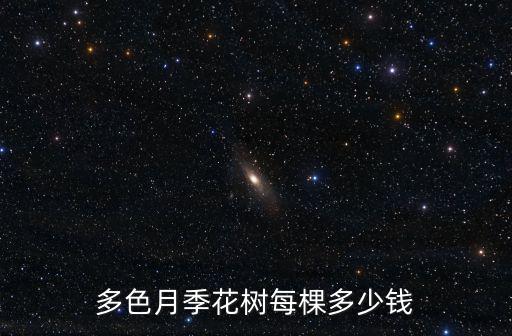 煙臺(tái)微型月季花多少錢一株,怎么養(yǎng)微型月季更好
