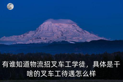 廣州嘉誠國際物流叉車工資怎么樣,有誰知道物流招叉車工學徒
