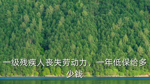 惠州一級殘疾補貼多少錢,一級殘疾人喪失勞動力