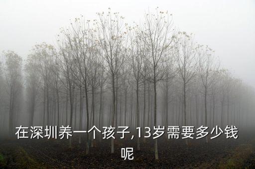 深圳晚托班多少錢一個小孩,在深圳養(yǎng)一個孩子