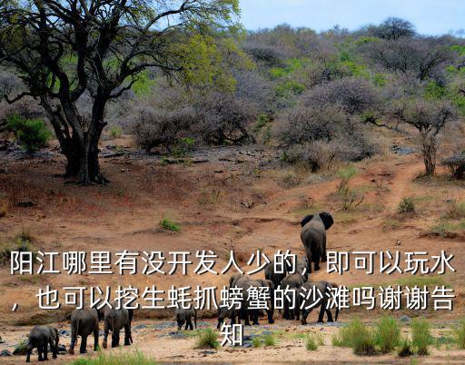 陽江市哪里的海可以挖海螺,陽江哪里有沒開發人少的