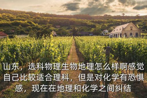 山東，選科物理生物地理怎么樣啊感覺自己比較適合理科，但是對化學有恐懼感，現在在地理和化學之間糾結