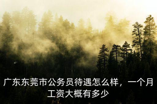 廣東東莞稅務局公務員待遇怎么樣,廣東東莞市公務員待遇怎么樣