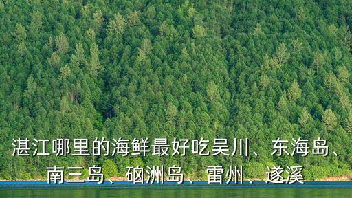 湛江哪里的海鮮最好吃吳川、東海島、南三島、硇洲島、雷州、遂溪