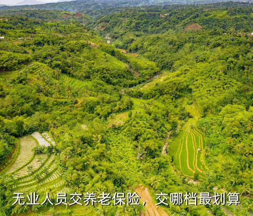 河源無業人員最低社保交多少,無業人員交養老保險