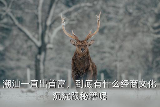 潮汕一直出首富，到底有什么經商文化沉淀跟秘籍呢