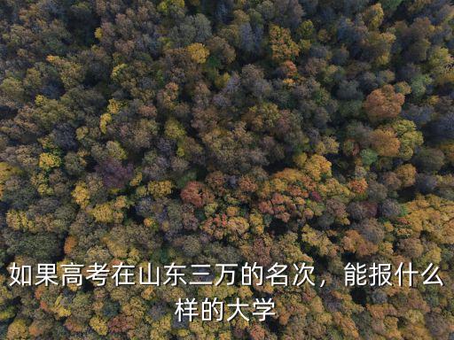 如果高考在山東三萬的名次，能報什么樣的大學