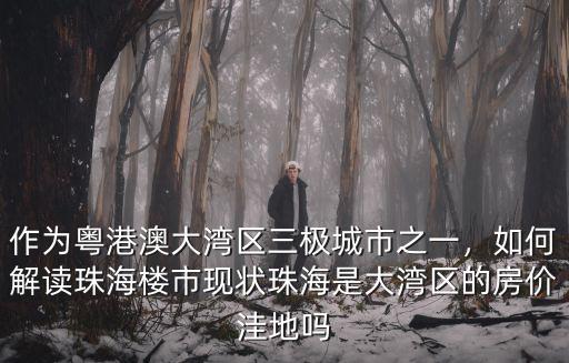 作為粵港澳大灣區三極城市之一，如何解讀珠海樓市現狀珠海是大灣區的房價洼地嗎