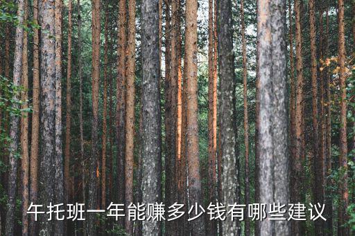 午托班一年能賺多少錢有哪些建議