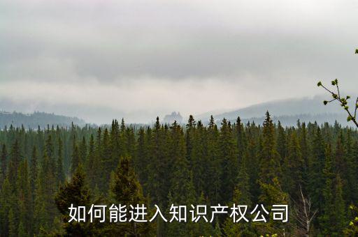 如何能進(jìn)入知識(shí)產(chǎn)權(quán)公司