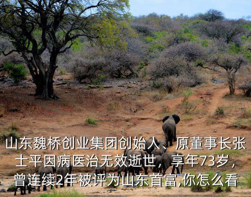山東魏橋創業張月琴有多少錢,工資平均多少錢