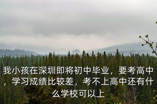我小孩在深圳即將初中畢業(yè)，要考高中，學(xué)習(xí)成績(jī)比較差，考不上高中還有什么學(xué)校可以上