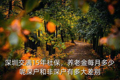 2018深圳社保每月繳費多少,深圳交滿15年社保