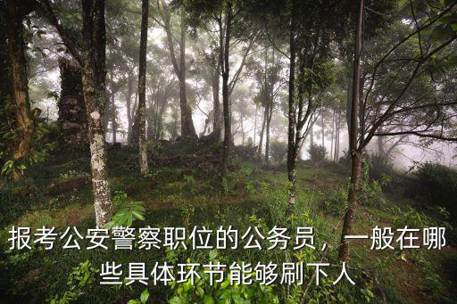 報考公安警察職位的公務員，一般在哪些具體環節能夠刷下人