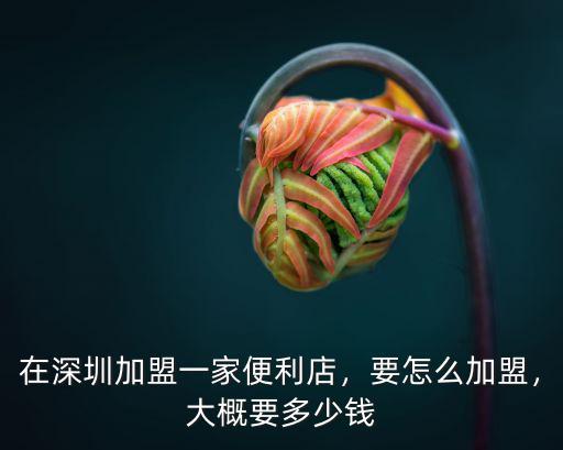 在深圳加盟一家便利店，要怎么加盟，大概要多少錢