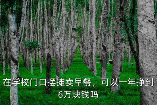 在學(xué)校門口擺攤賣早餐，可以一年掙到6萬塊錢嗎