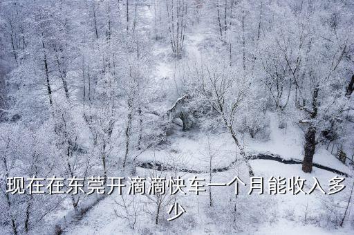現(xiàn)在在東莞開滴滴快車一個月能收入多少
