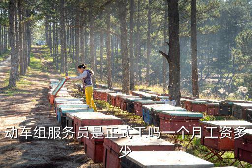 動車組服務員是正式工嗎一個月工資多少