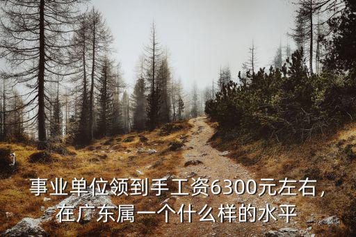 廣東的生活水平怎么樣,在廣州的生活水平如何
