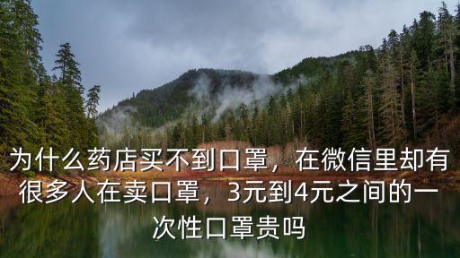 廣東仁材醫藥口罩多少錢一個,請問外科口罩現在多少錢一個