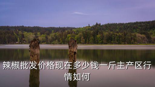 2017菏澤巨野辣椒多少錢一斤,辣椒批發(fā)價格現(xiàn)在多少錢一斤