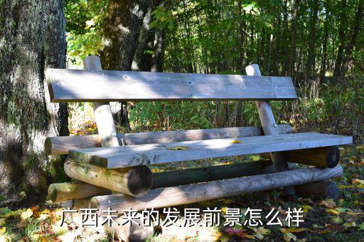 怎么看廣東廣西的發(fā)展前景,廣東和廣西的發(fā)展前景怎么樣