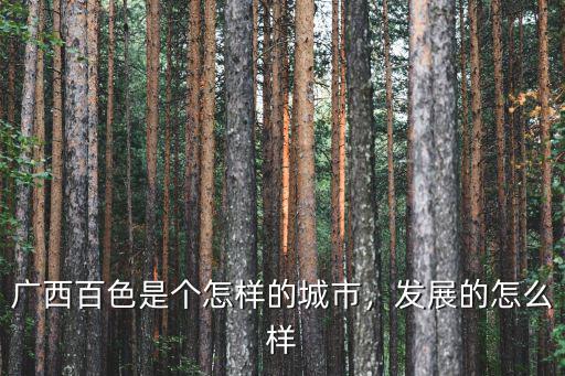 廣東百色打工怎么樣,廣西百色是個怎樣的城市