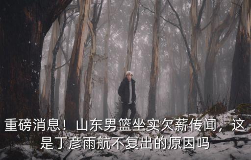 重磅消息！山東男籃坐實欠薪傳聞，這是丁彥雨航不復出的原因嗎