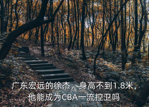 廣東宏遠的徐杰，身高不到1.8米，他能成為CBA一流控衛(wèi)嗎