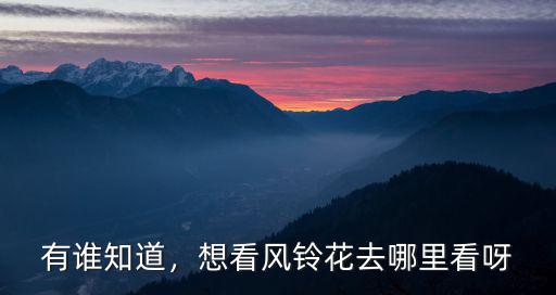 深圳哪里看黃花風(fēng)鈴花,想看風(fēng)鈴花去哪里看呀