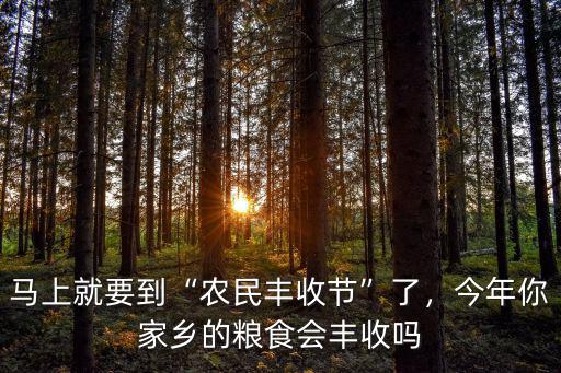 馬上就要到“農民豐收節”了，今年你家鄉的糧食會豐收嗎