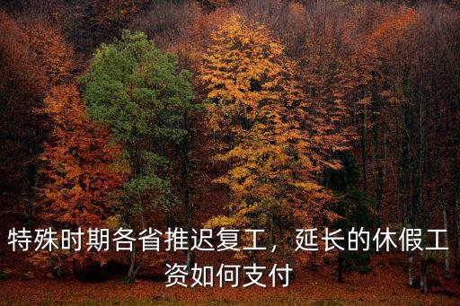 特殊時期各省推遲復(fù)工，延長的休假工資如何支付