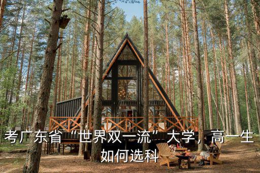 考廣東省“世界雙一流”大學，高一生如何選科