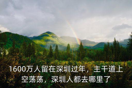 1600萬人留在深圳過年，主干道上空蕩蕩，深圳人都去哪里了