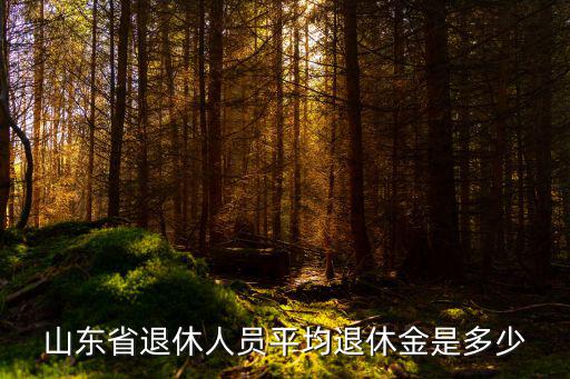 山東7年平均工資是多少,山東省社會(huì)平均工資公布