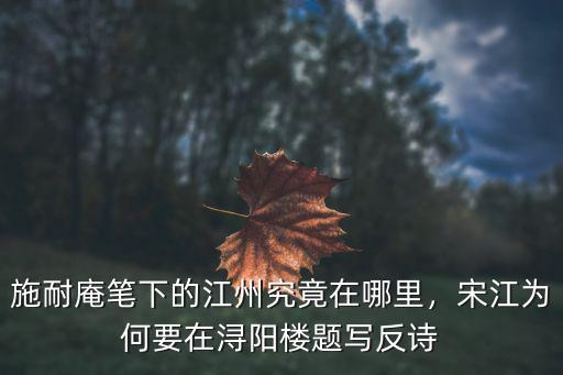 施耐庵筆下的江州究竟在哪里，宋江為何要在潯陽樓題寫反詩