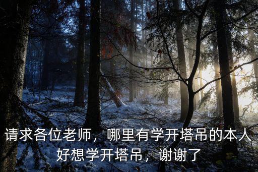 深圳福永哪里有學塔吊的,想學開塔吊應該去哪里學