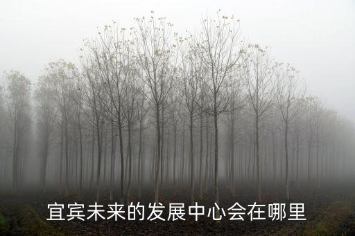 宜賓合江門的廁所在哪里,宜賓未來的城市中心在哪里