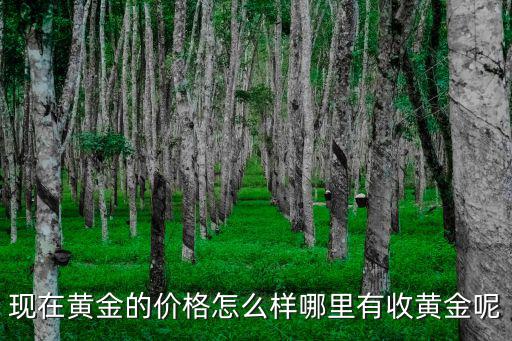 廣東樂昌哪里有收黃金的,現在黃金的價格怎么樣