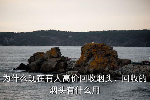 為什么現在有人高價回收煙頭，回收的煙頭有什么用