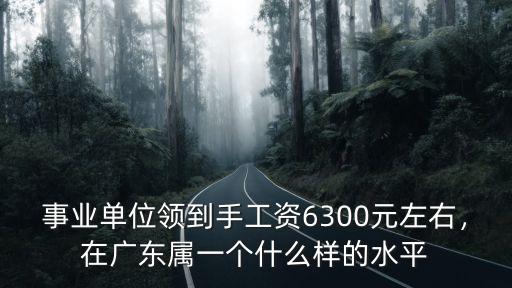 事業(yè)單位領(lǐng)到手工資6300元左右，在廣東屬一個(gè)什么樣的水平