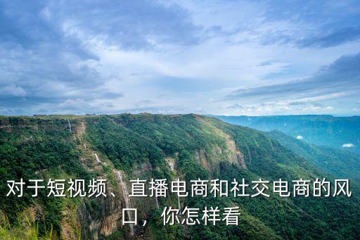 對于短視頻、直播電商和社交電商的風口，你怎樣看