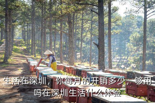 深圳的樓梯房一個月多少錢,你每月的開銷多少